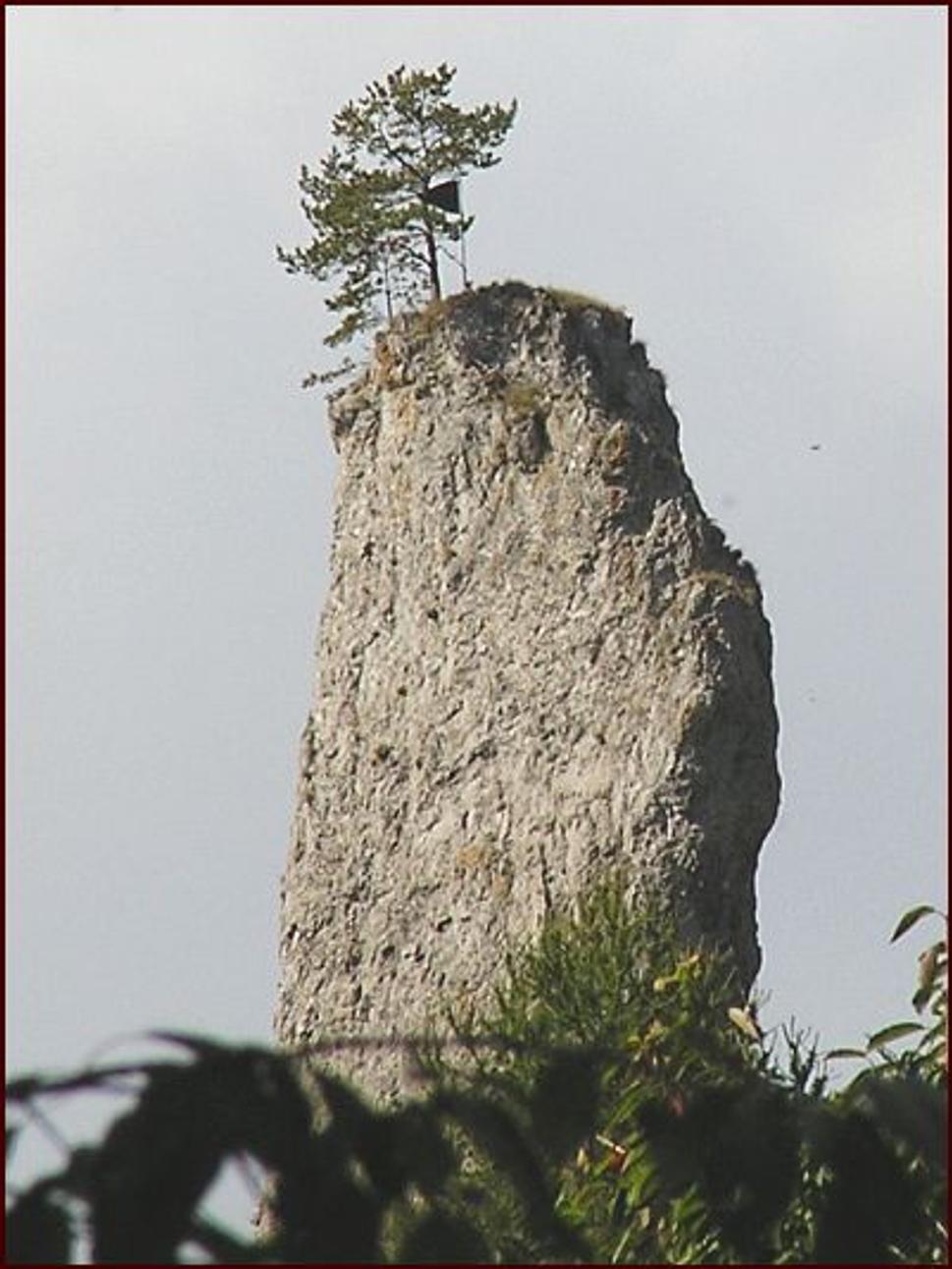 Obrázok blogu