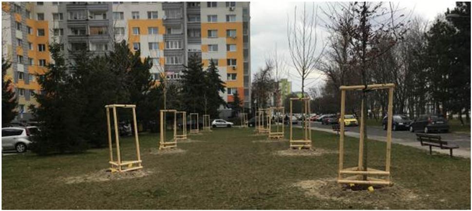 Aj tu hrávali deti futbal. Teraz sú tu nasadené stromy. !!!