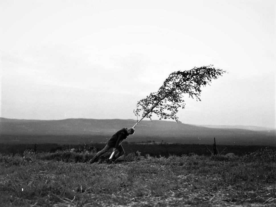 The Virgin Spring (1960)