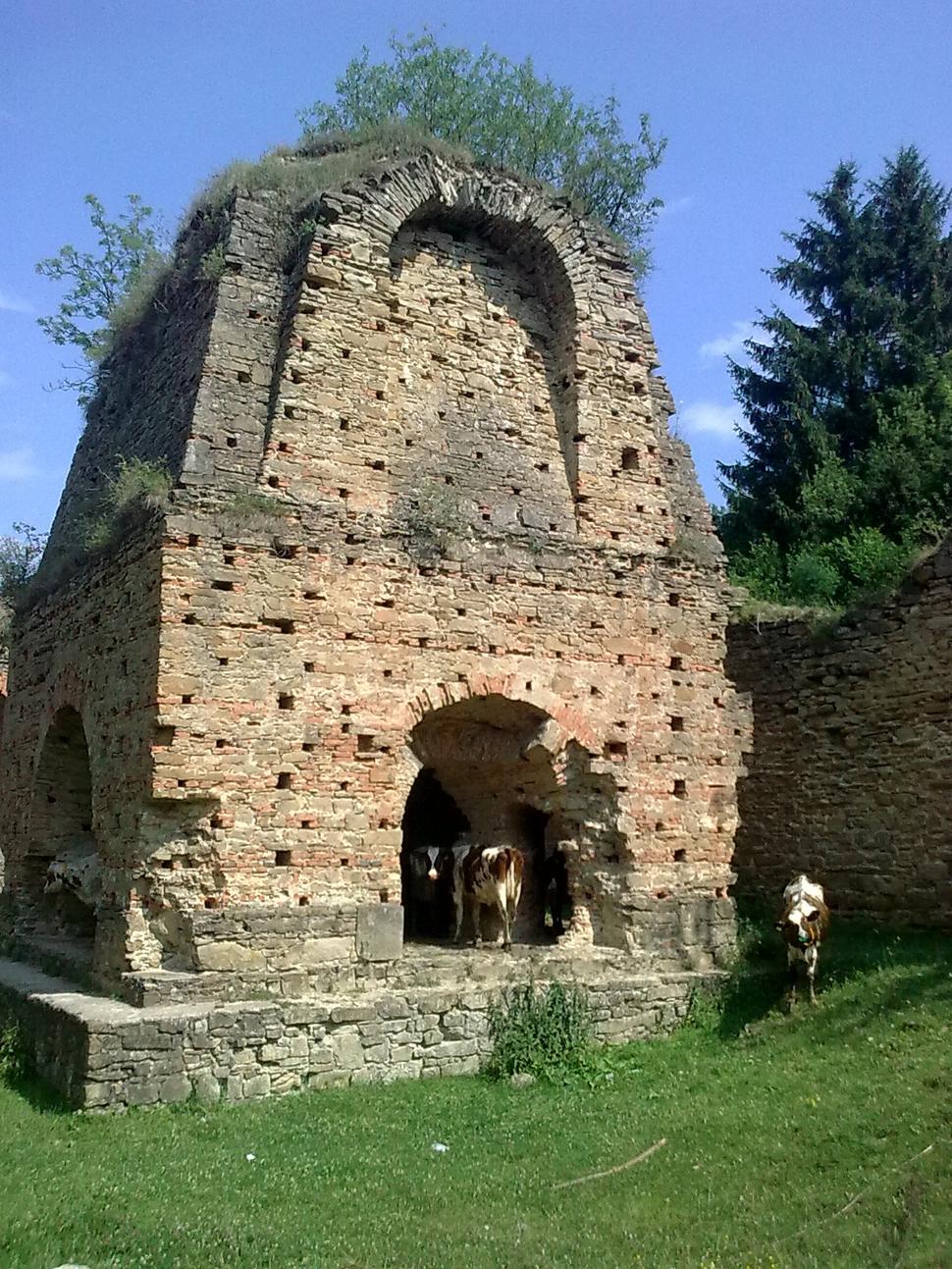 Obrázok blogu