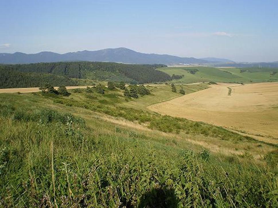 Obrázok blogu
