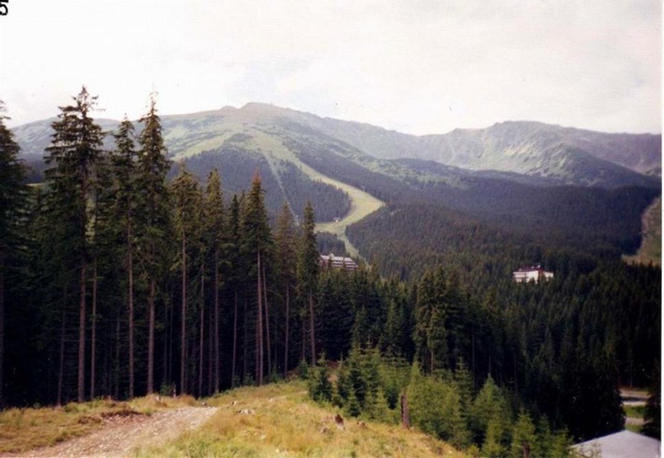 Obrázok blogu