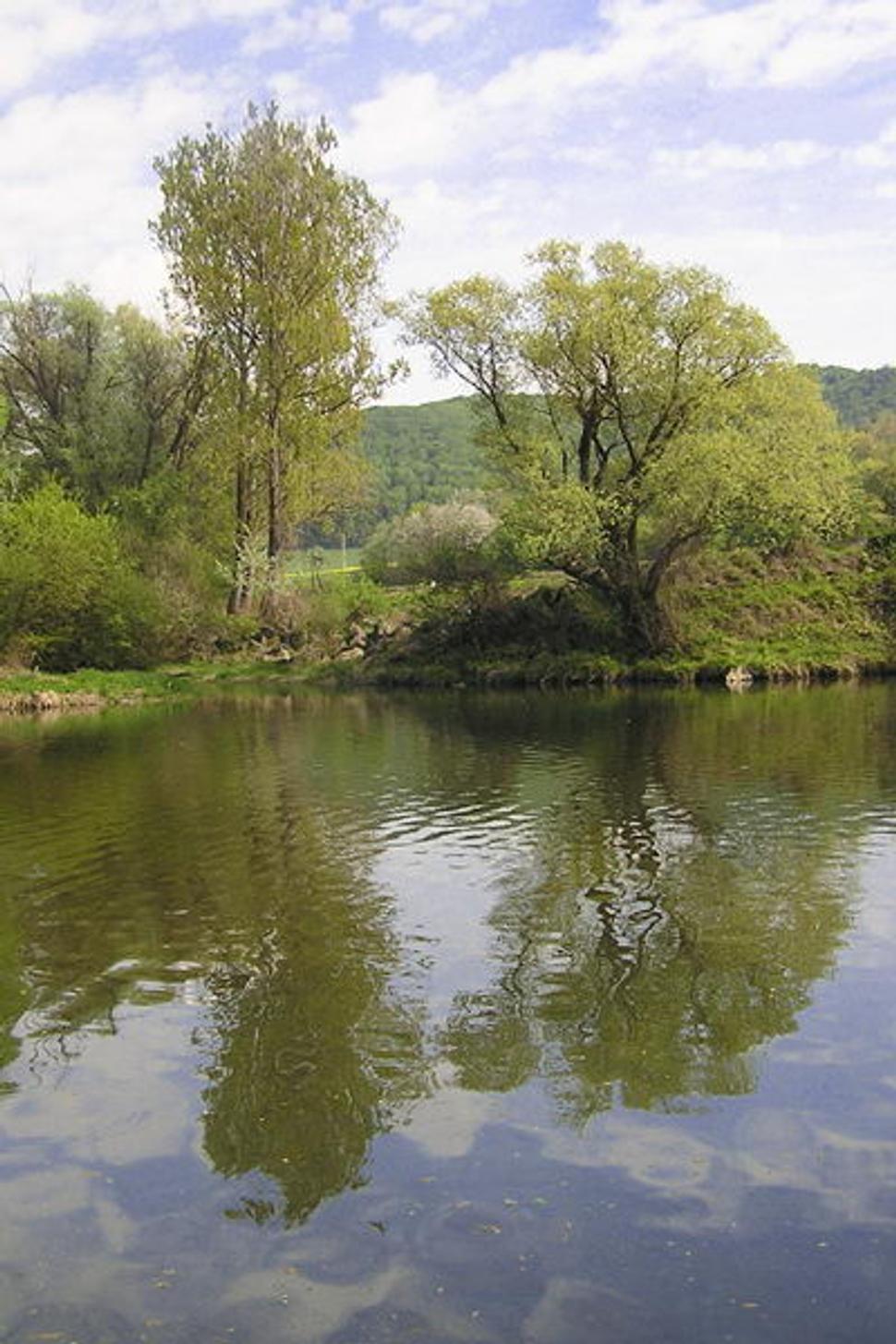 Obrázok blogu