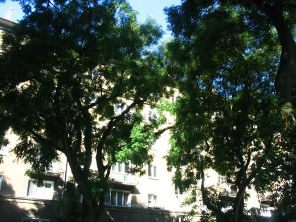 Obrázok blogu