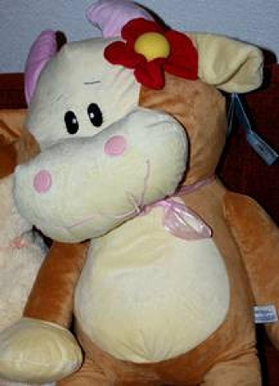 Obrázok blogu