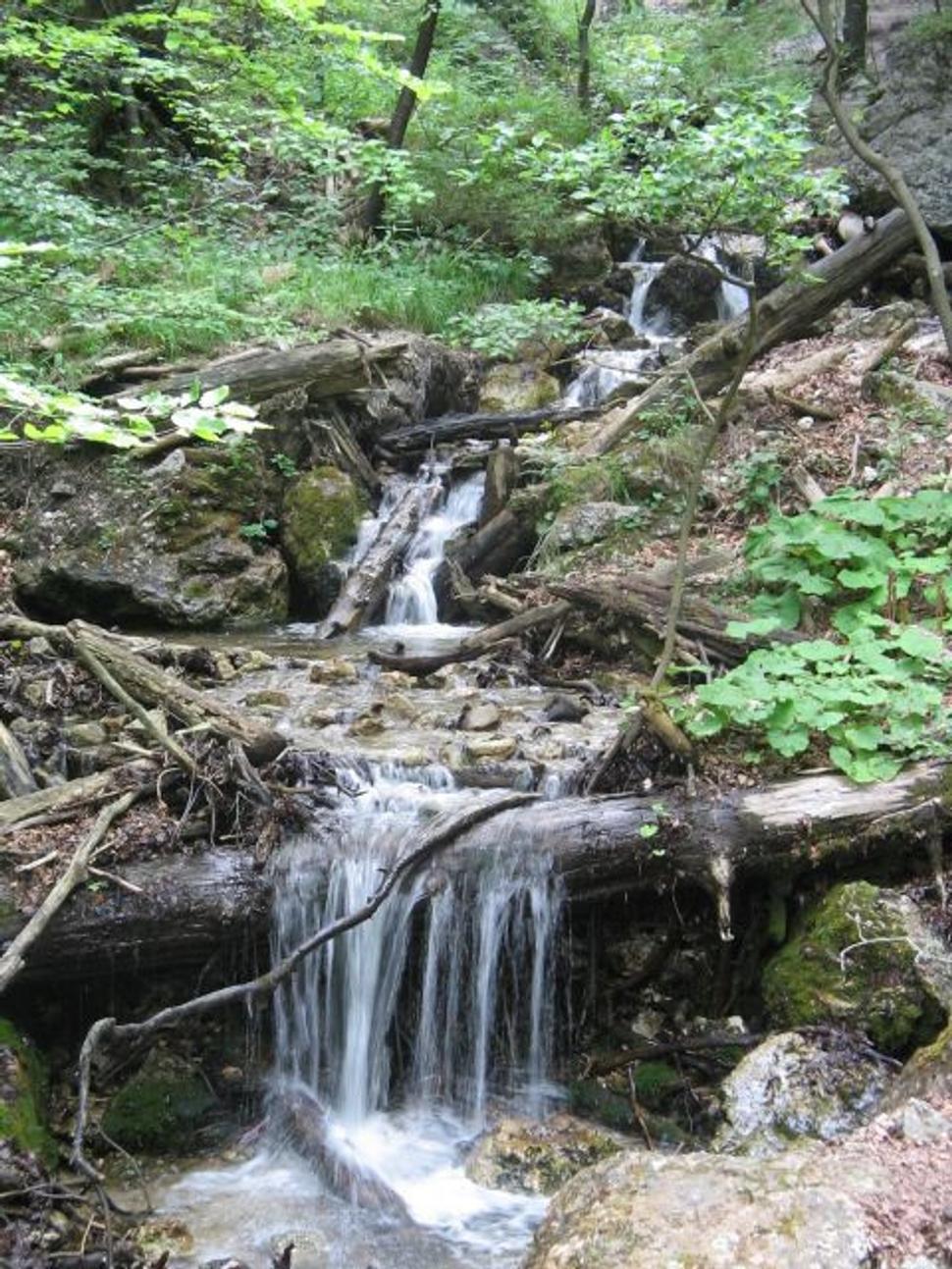 Obrázok blogu