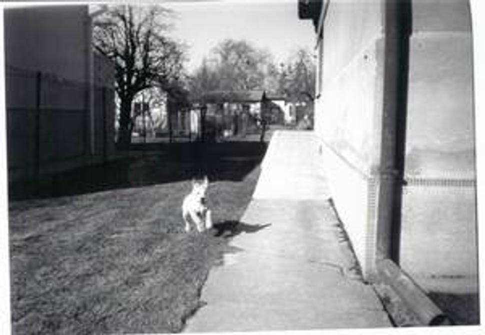 Obrázok blogu