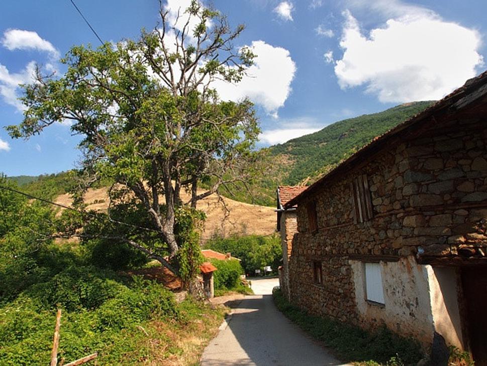 Brajčino