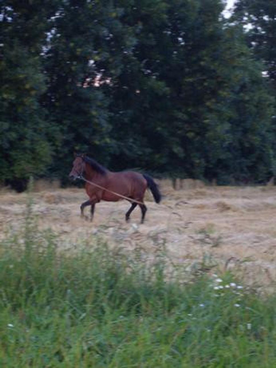 Obrázok blogu