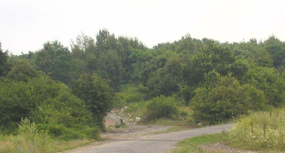 Obrázok blogu