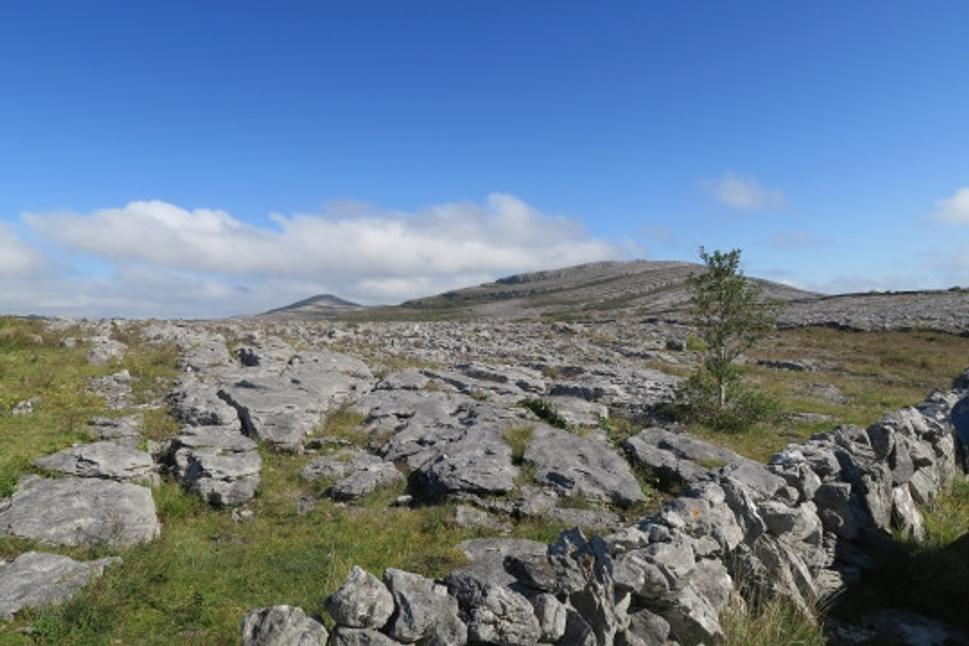 Národný park Burren je na prvý pohľad skalnatá zem.