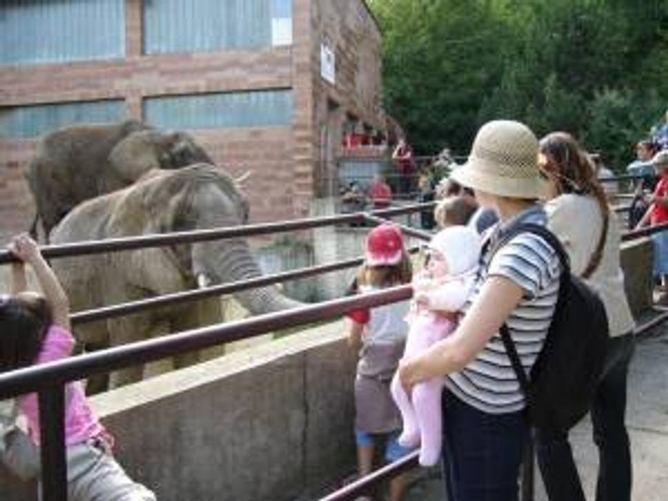ZOO Bojnice