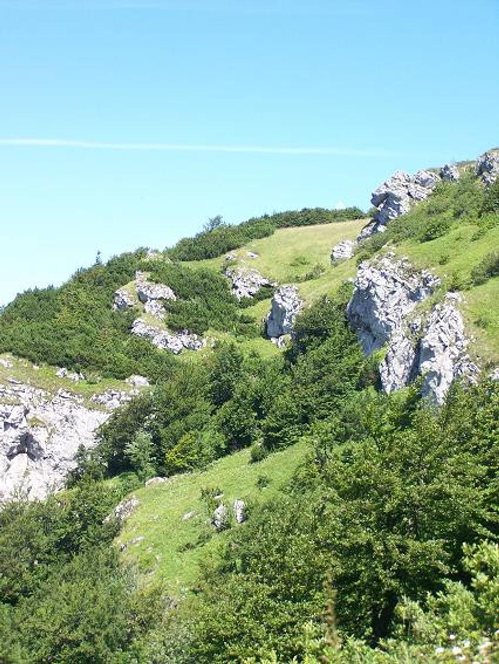 Obrázok blogu