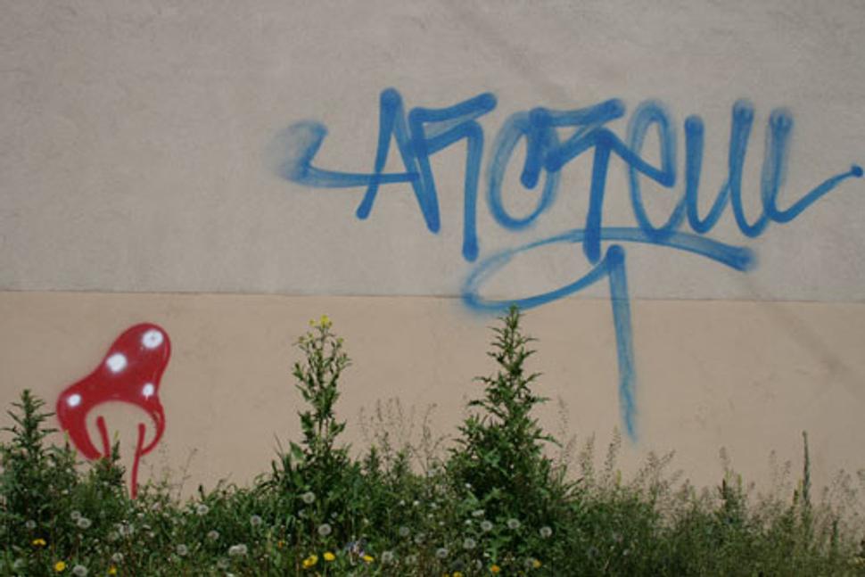 Obrázok blogu