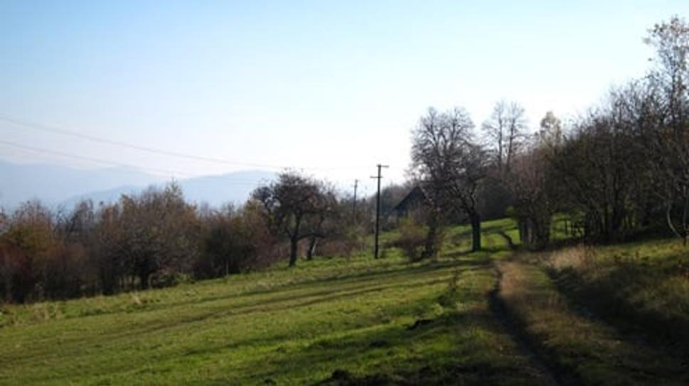 Obrázok blogu