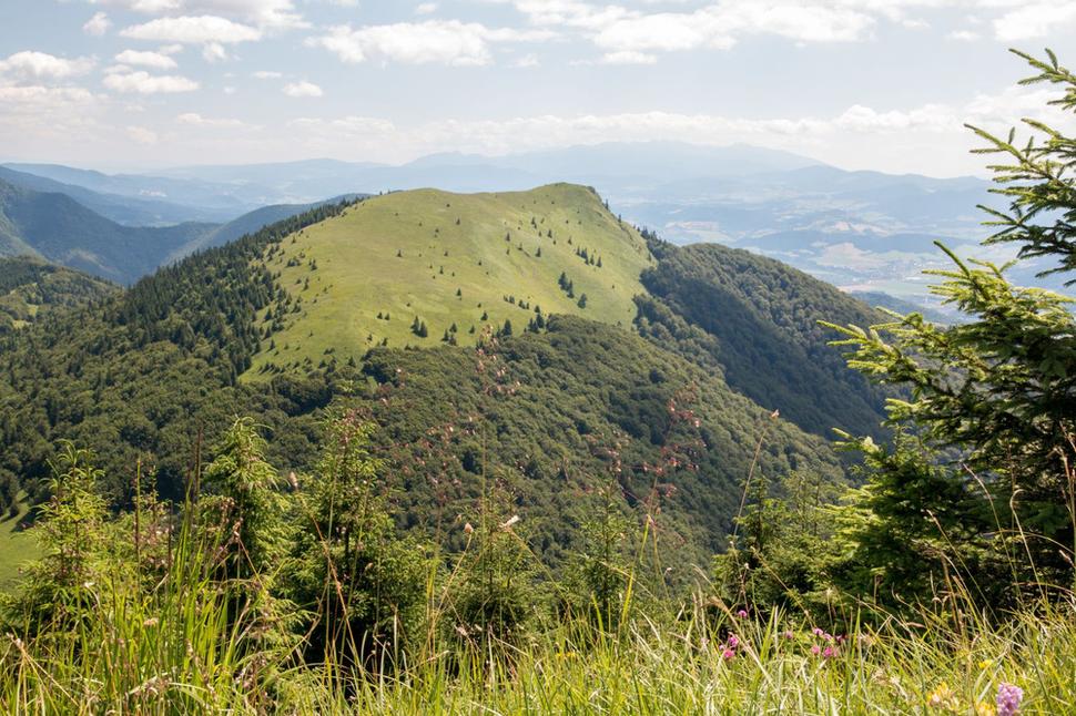 Vrchol Osnice, už sme na jej úrovni