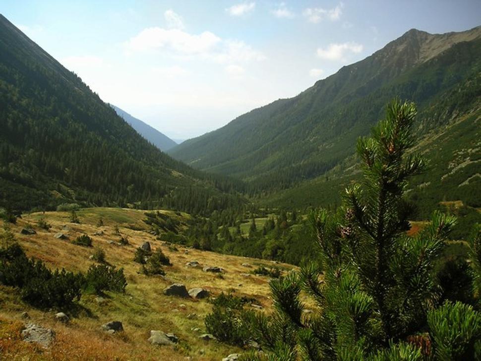 Rackova dolina