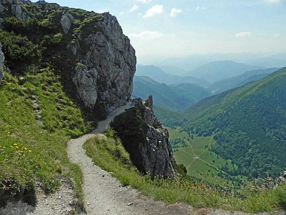 Obrázok blogu
