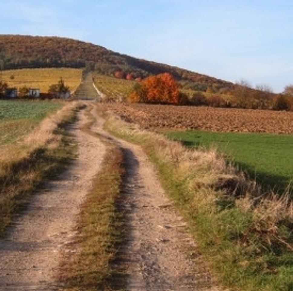 Obrázok blogu