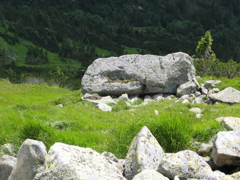 Obrázok blogu