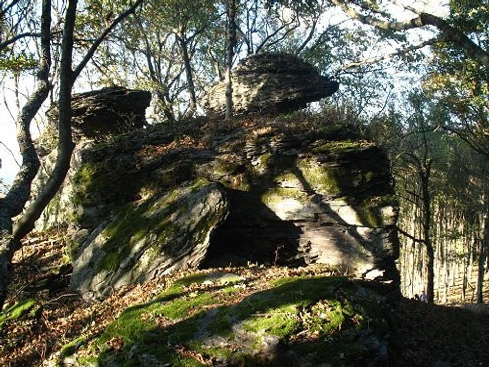 Obrázok blogu
