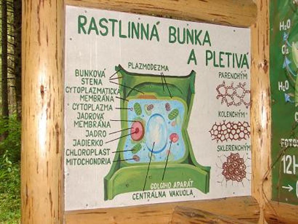 Obrázok blogu