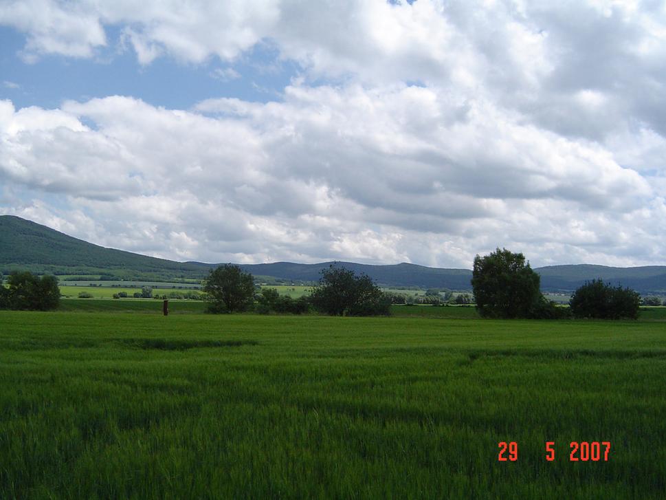 Obrázok blogu