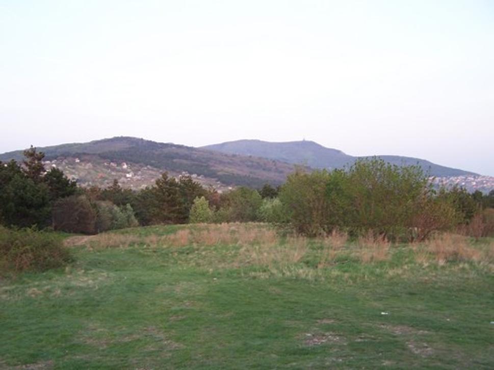 Obrázok blogu