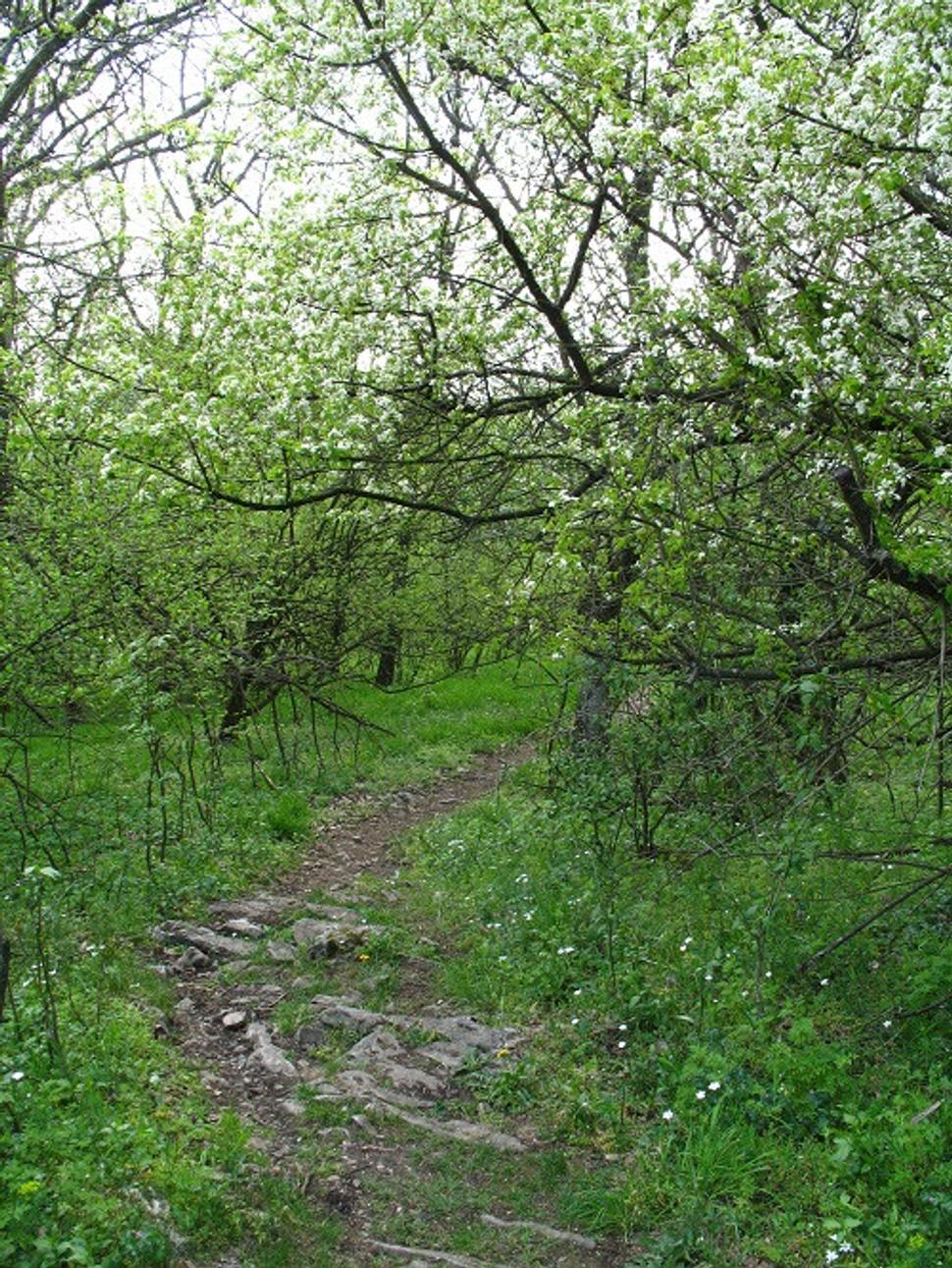 Obrázok blogu