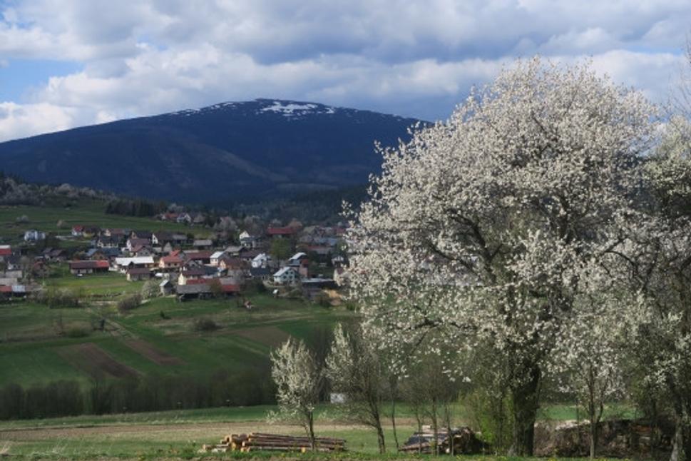 Babia hora na jar.