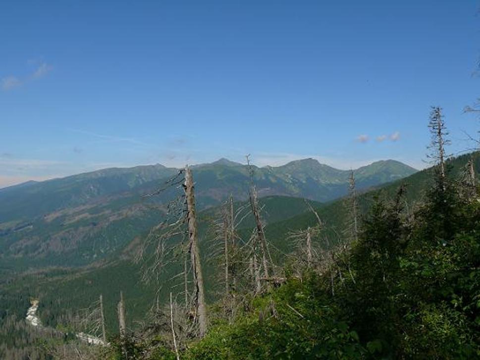 Západné Tatry