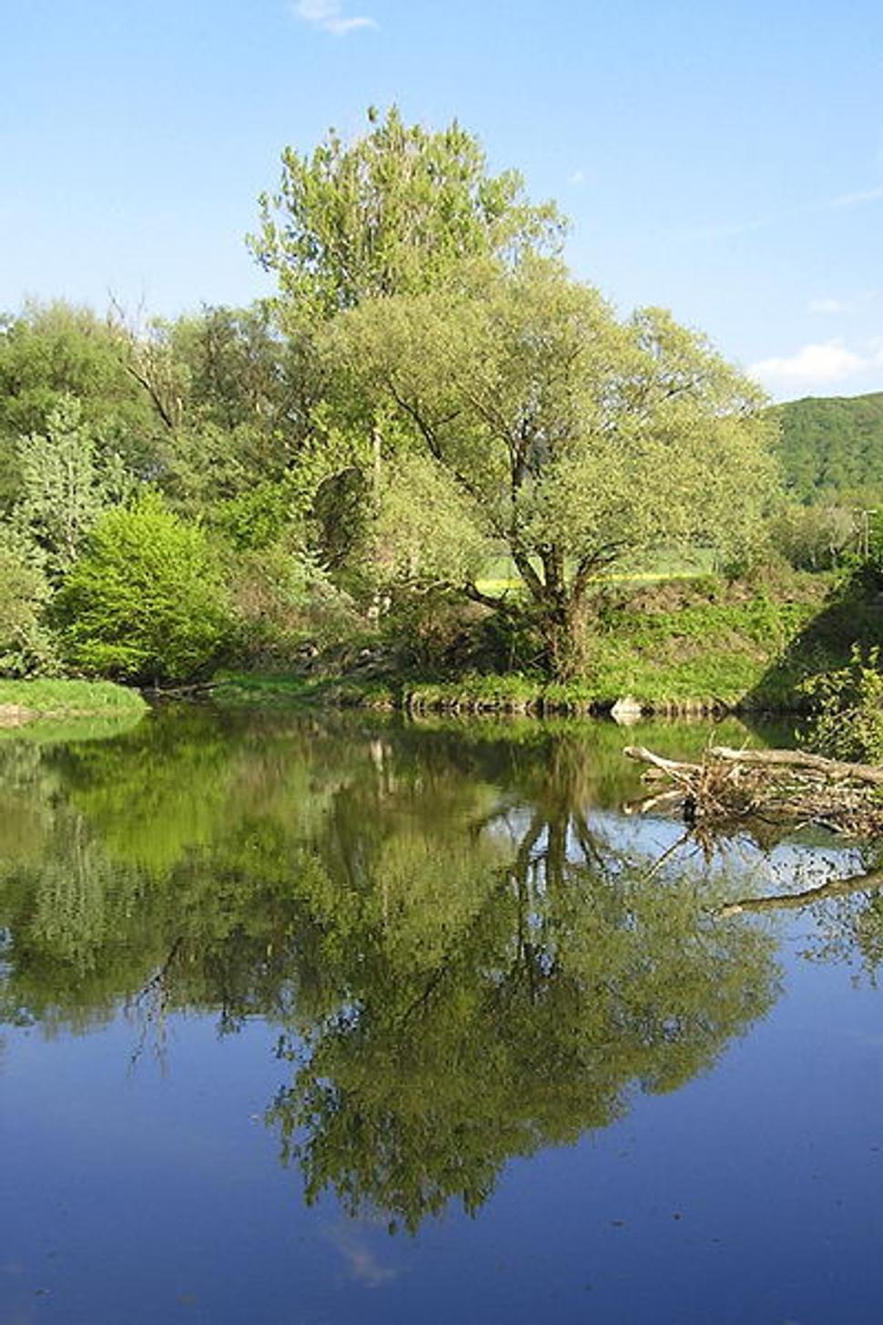Obrázok blogu