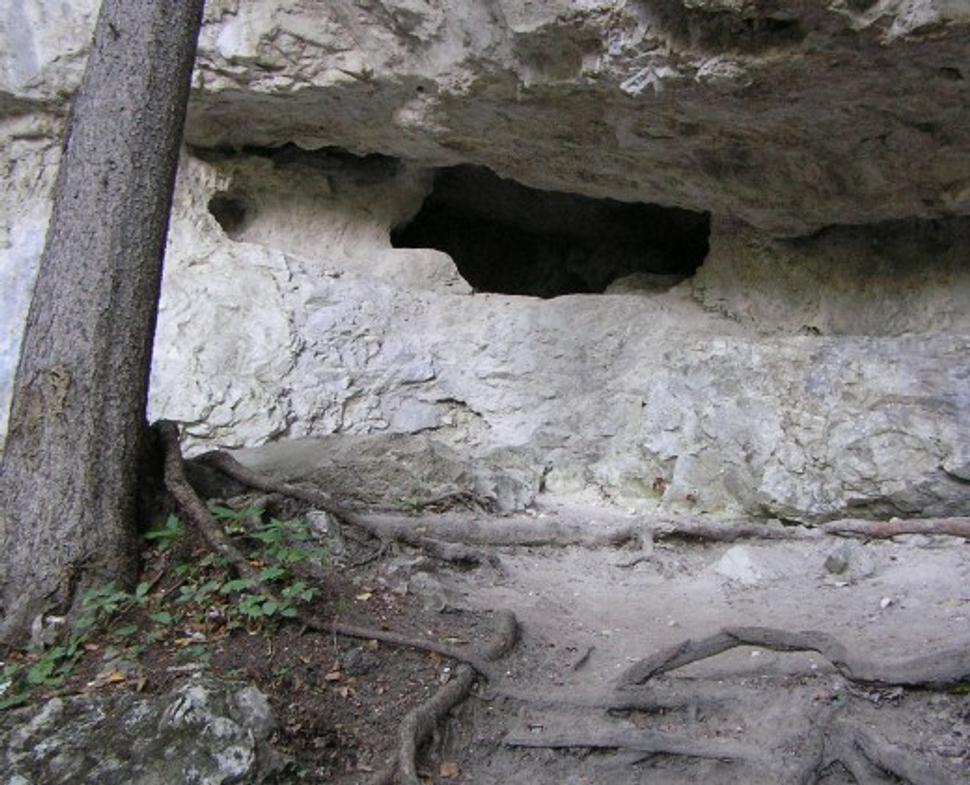 Obrázok blogu