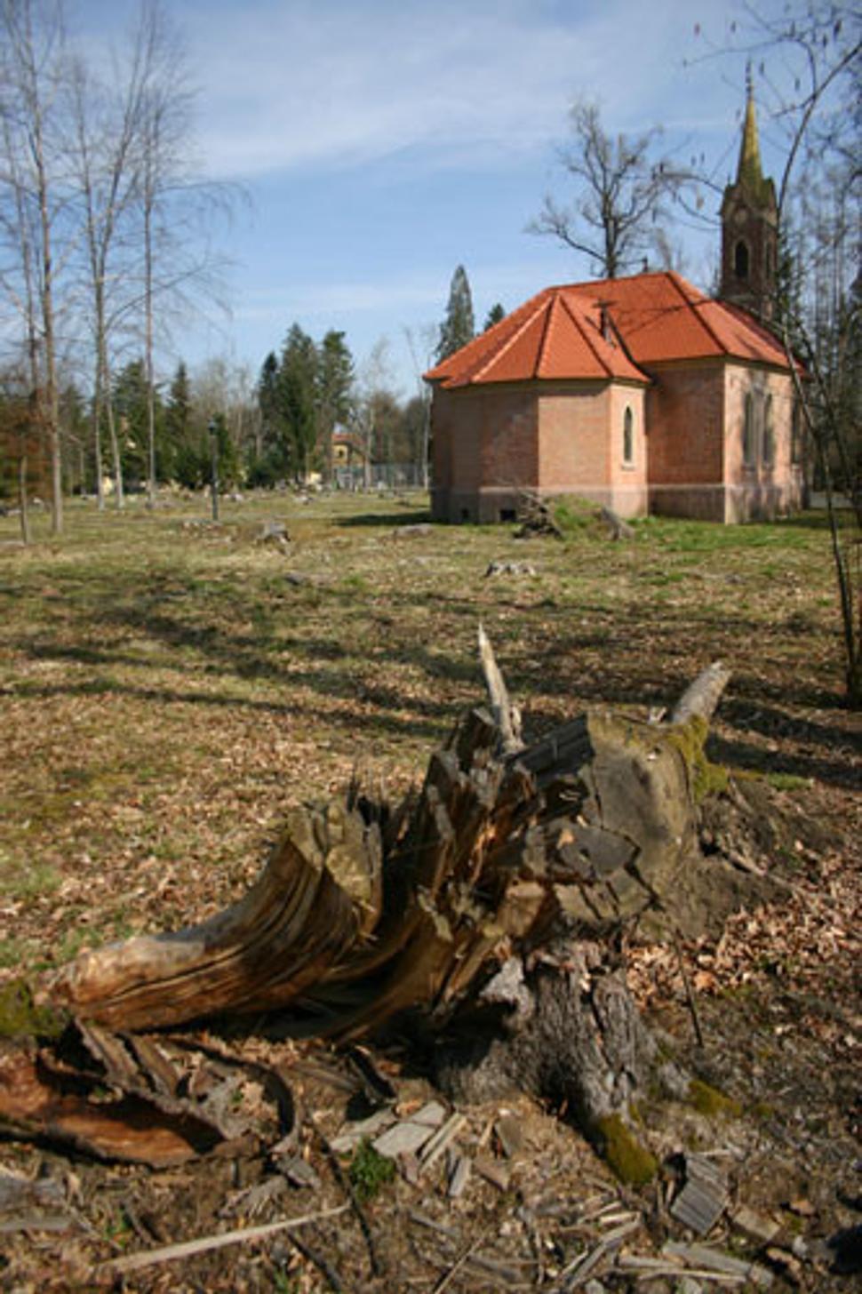 Obrázok blogu