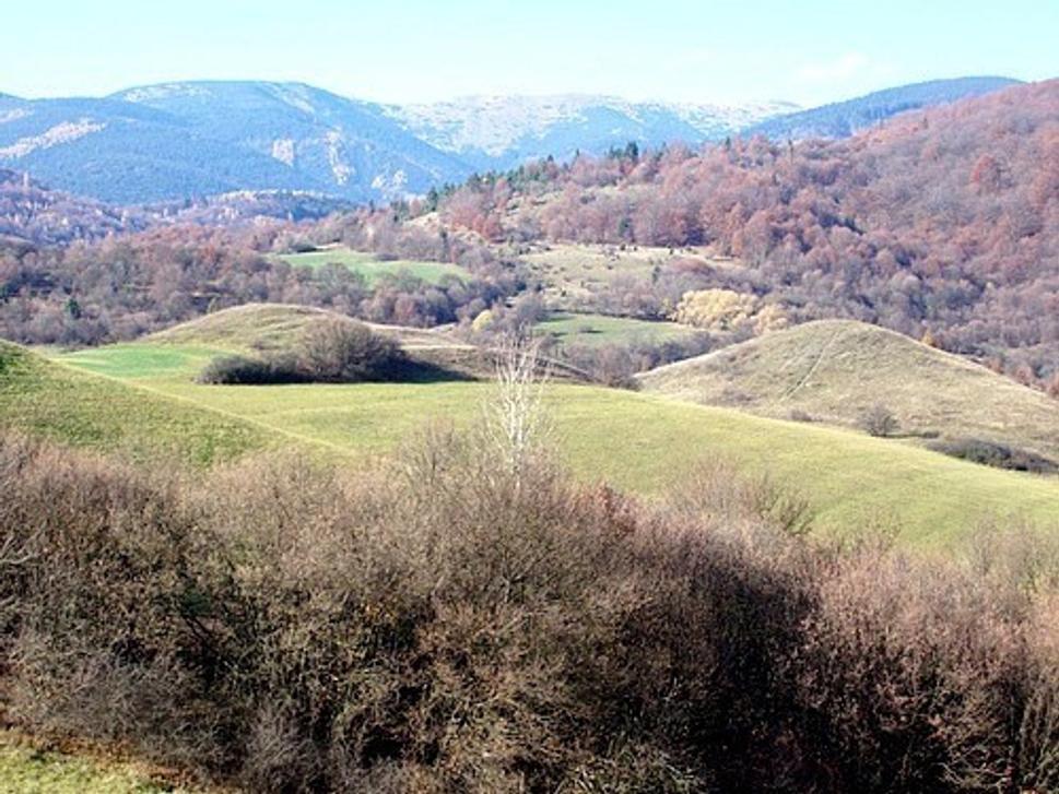 Obrázok blogu