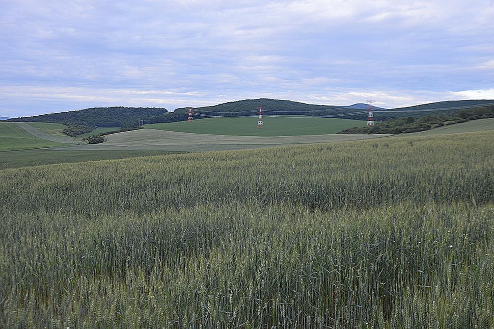 Obrázok blogu