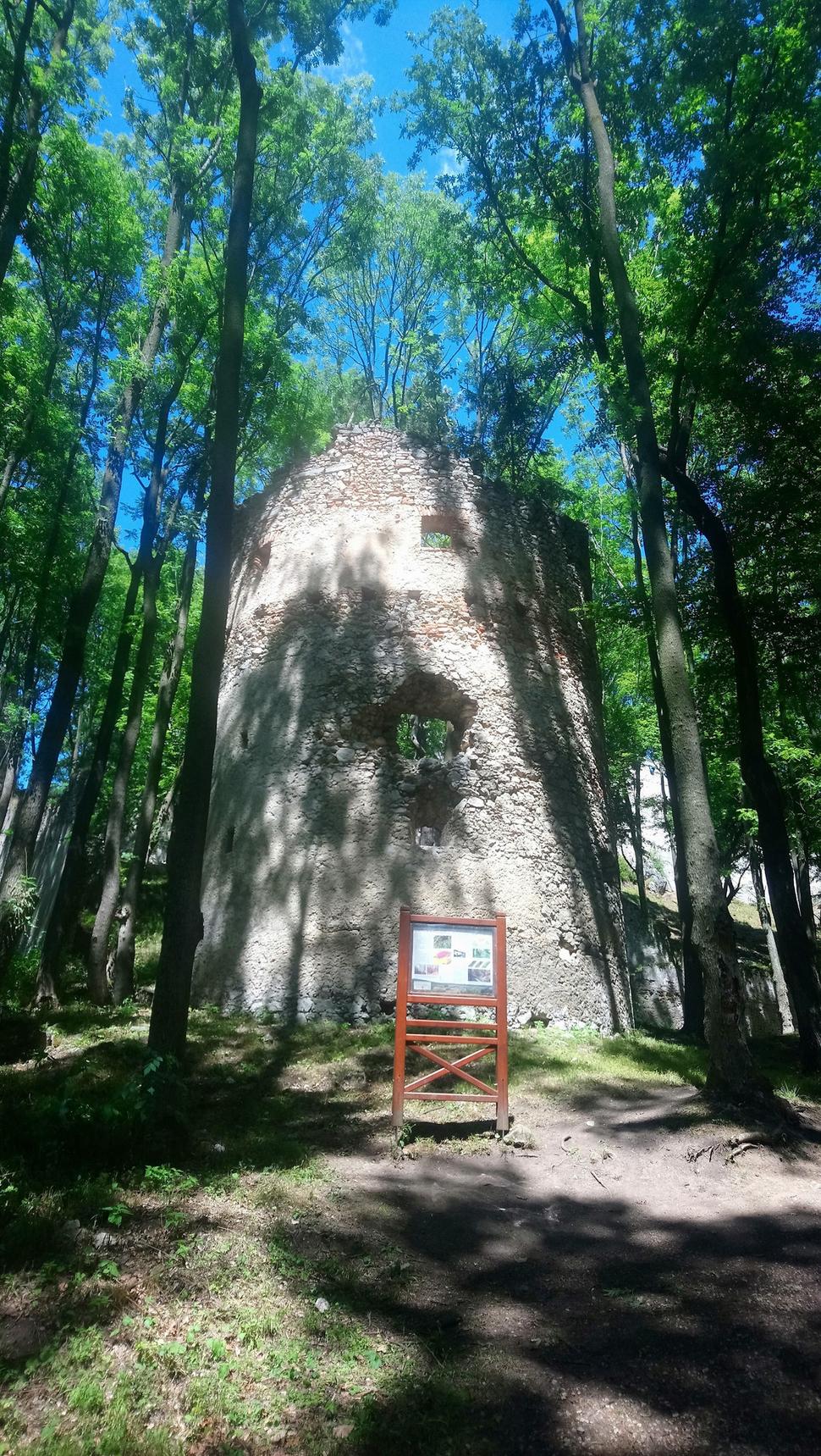 Dobrovodský hrad