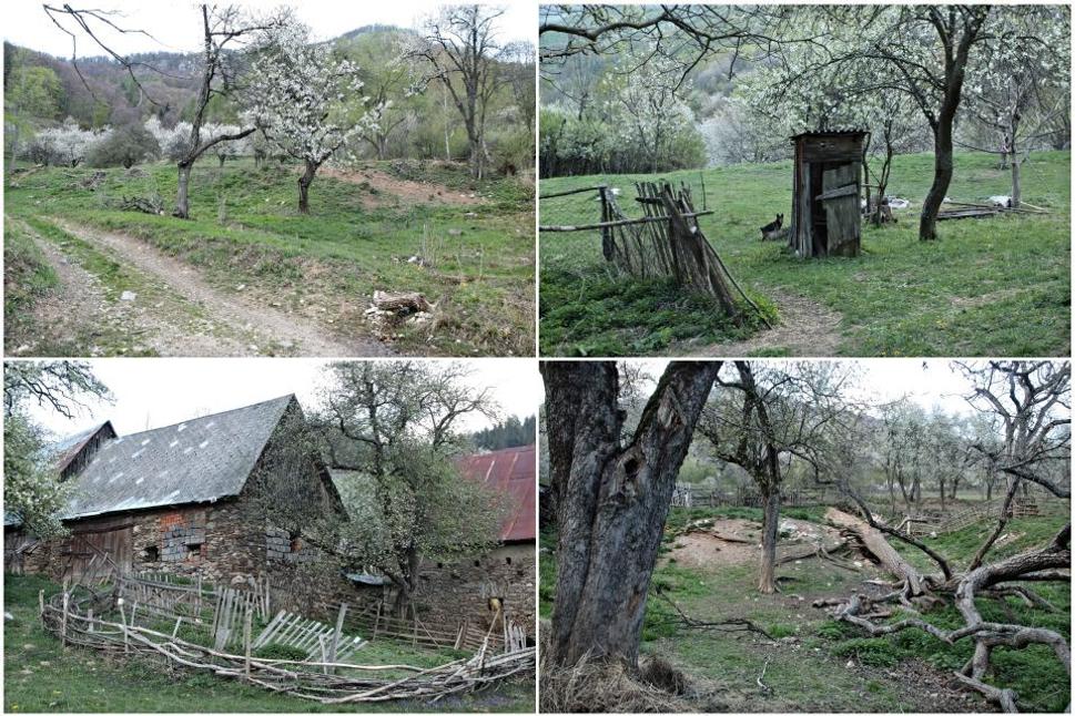 Aj zdanlivo opustené budovy a extenzívne sady - dutiny starých stromov, ale aj cestičky, hŕby konárov, staré povaly a murované stienky, sú skvelým biotopom pre rôzne druhy organizmov.