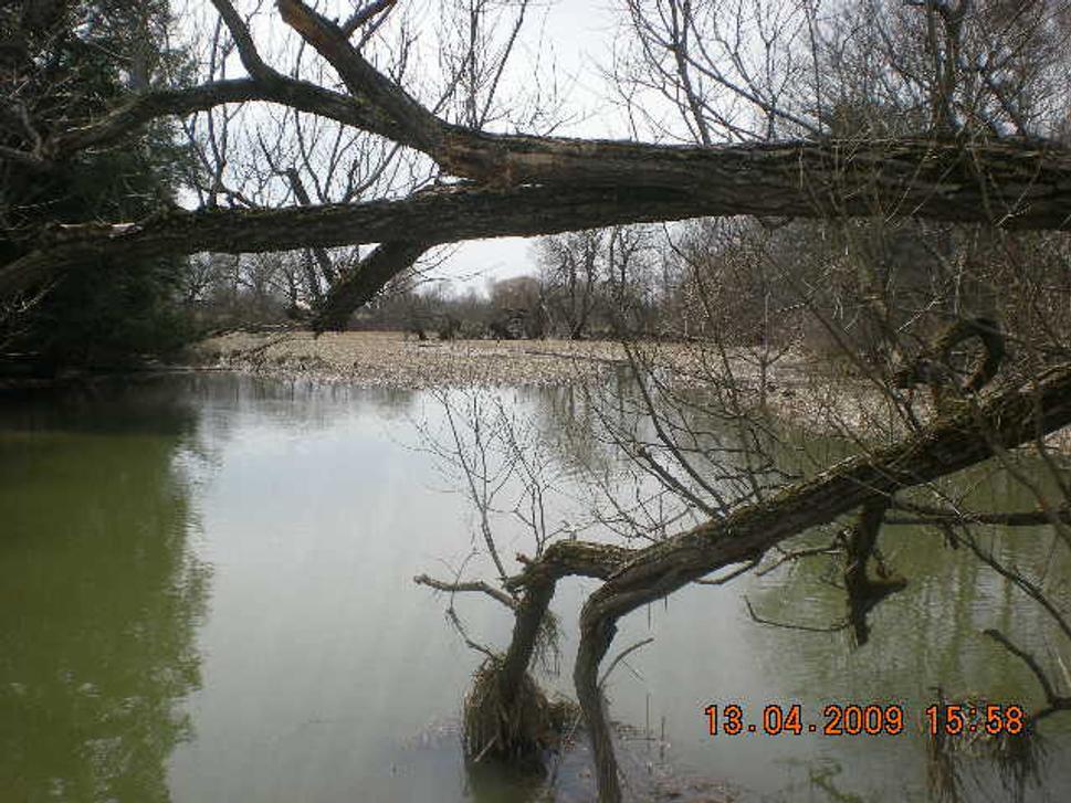 Obrázok blogu