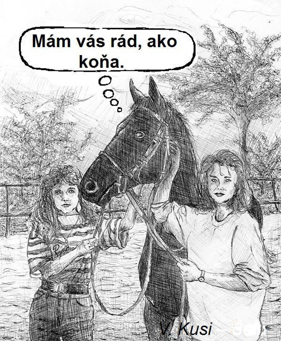 ako koňa