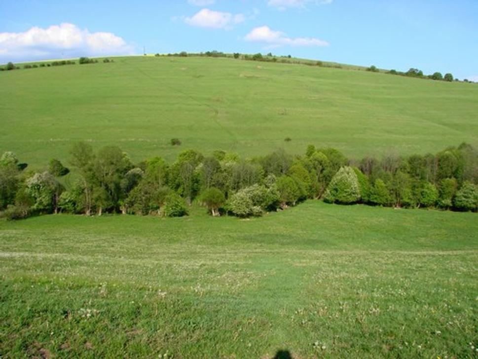 Obrázok blogu