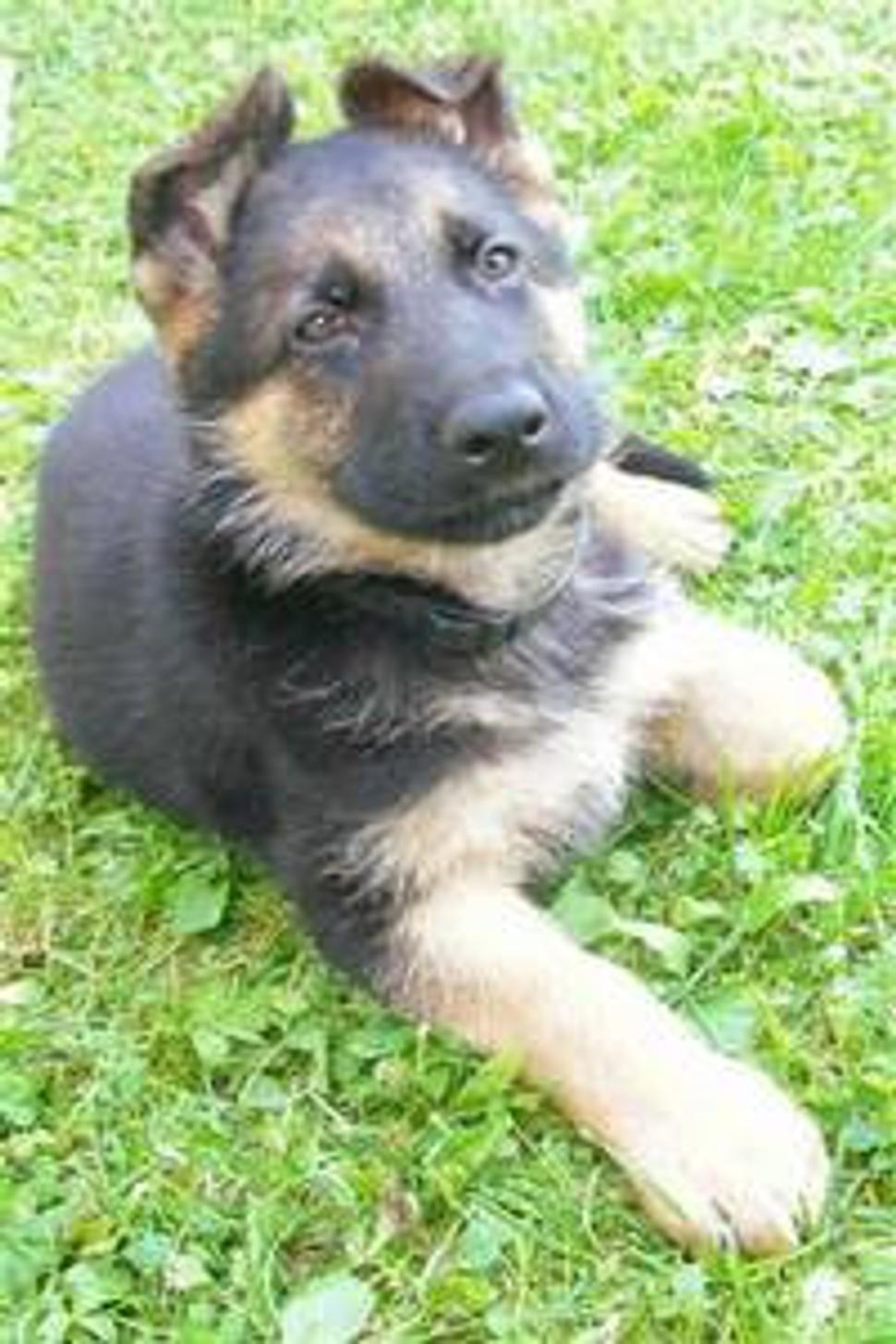 ORO,september 2006