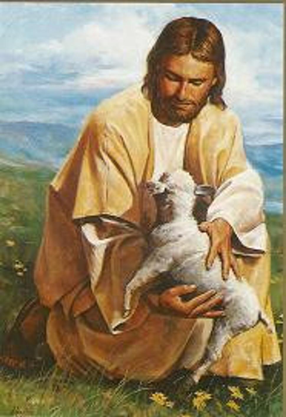 Obrázok blogu