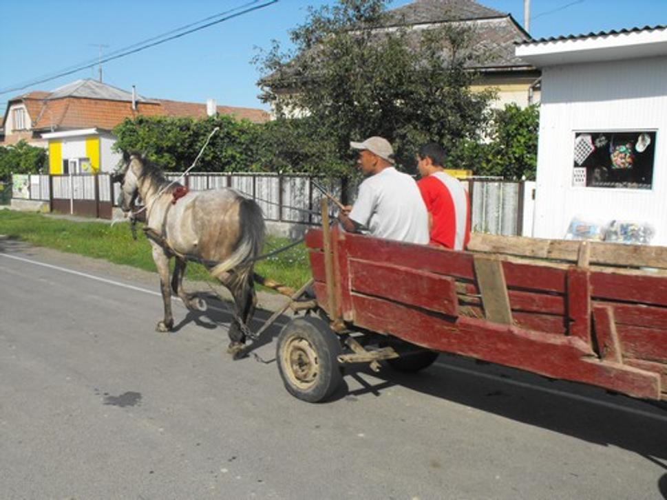 Obrázok blogu