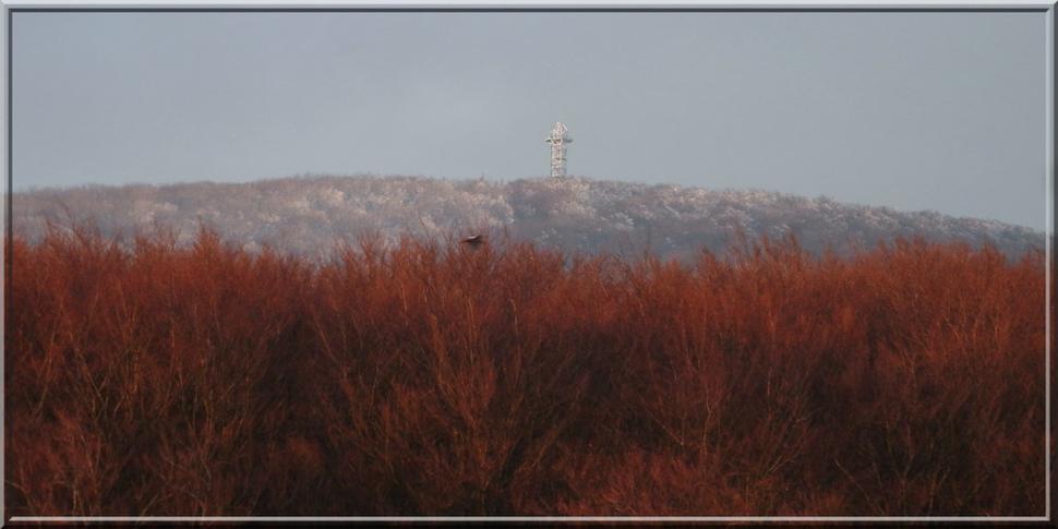 Tá rozhľadňa hore, to je bývalá vojenská rozhľadňa na vrchu Jelenec, o ktorej som sa dočítal, že je na českom pozemku, ale patrí Slovensku - nevysporiadané vlastníctvo
