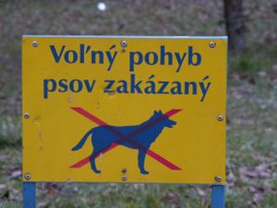 Obrázok blogu