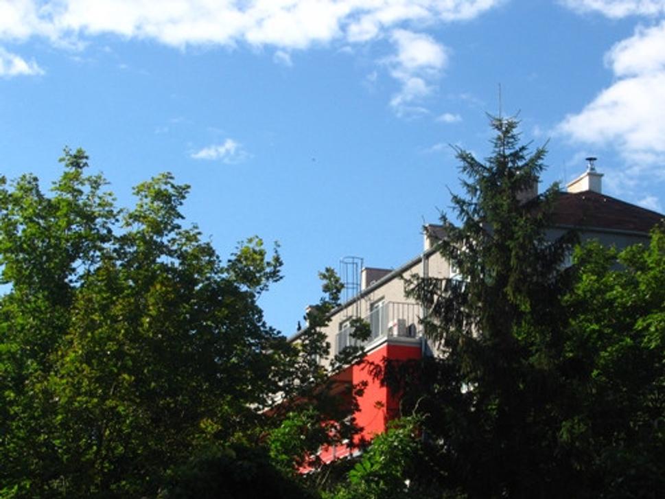 Obrázok blogu
