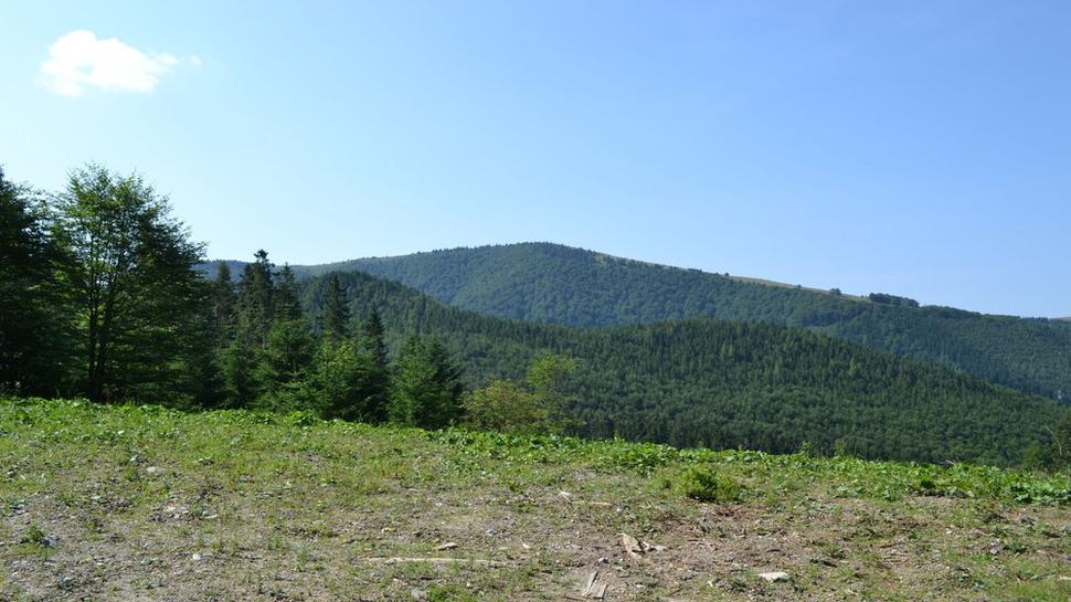 Pri miernom stúpaní po pravej ruke Kozí chrbát