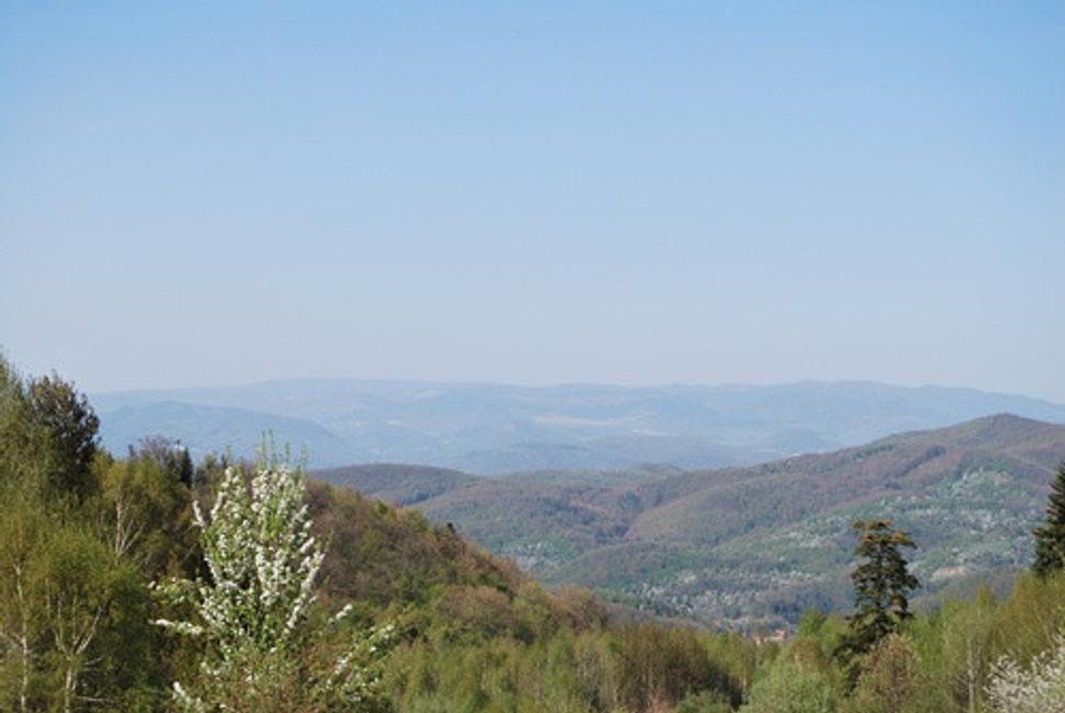 Obrázok blogu