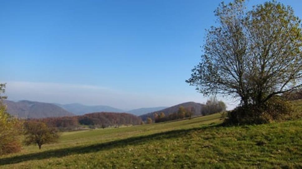 Obrázok blogu